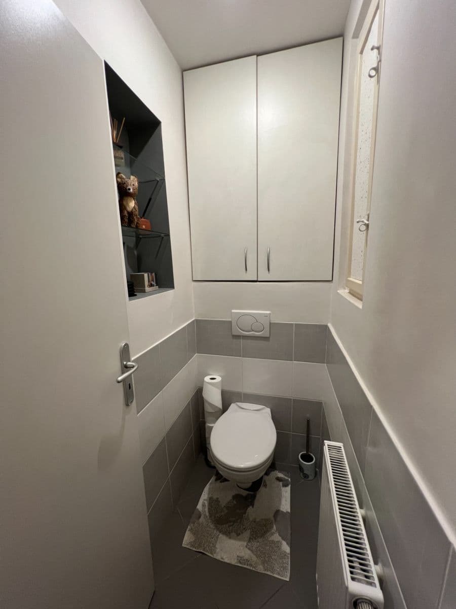 1 bedroom with open-plan kitchen flat to rent, 43 m², Biskupcova, Prague, Prague 1 bedroom with open-plan kitchen flat to rent, 43 m², Biskupcova, Prague, Prague