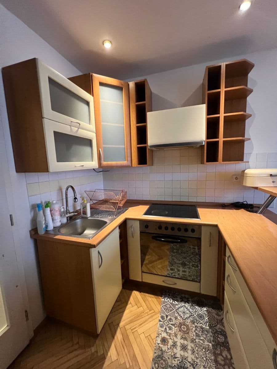 1 bedroom with open-plan kitchen flat to rent, 43 m², Biskupcova, Prague, Prague 1 bedroom with open-plan kitchen flat to rent, 43 m², Biskupcova, Prague, Prague