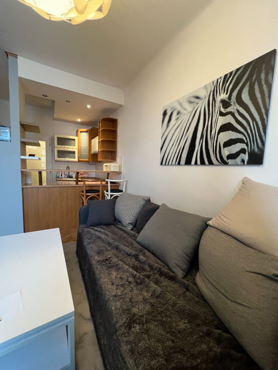 1 bedroom with open-plan kitchen flat to rent, 43 m², Biskupcova, Prague, Prague 1 bedroom with open-plan kitchen flat to rent, 43 m², Biskupcova, Prague, Prague