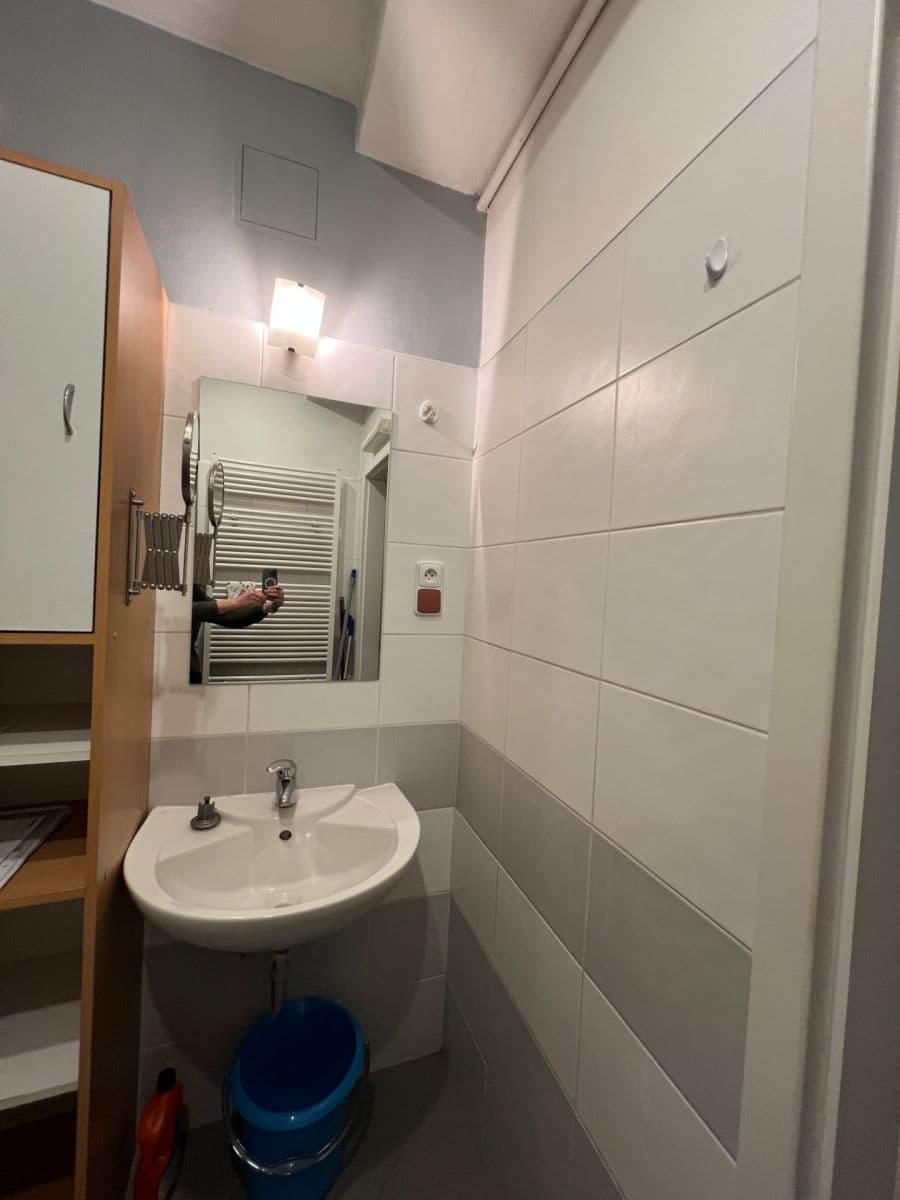 1 bedroom with open-plan kitchen flat to rent, 43 m², Biskupcova, Prague, Prague 1 bedroom with open-plan kitchen flat to rent, 43 m², Biskupcova, Prague, Prague