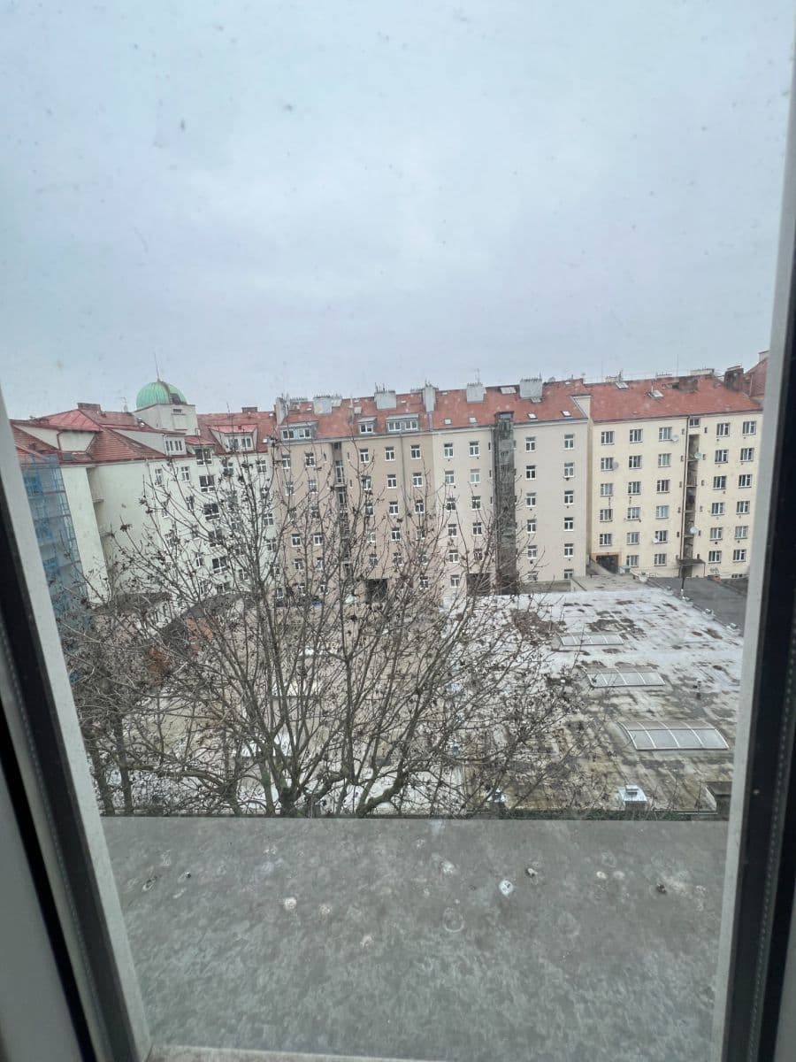 1 bedroom with open-plan kitchen flat to rent, 43 m², Biskupcova, Prague, Prague 1 bedroom with open-plan kitchen flat to rent, 43 m², Biskupcova, Prague, Prague