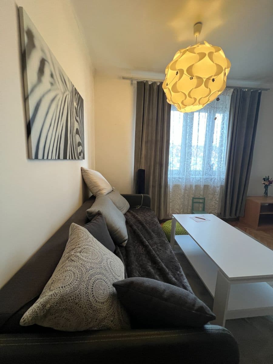 1 bedroom with open-plan kitchen flat to rent, 43 m², Biskupcova, Prague, Prague 1 bedroom with open-plan kitchen flat to rent, 43 m², Biskupcova, Prague, Prague