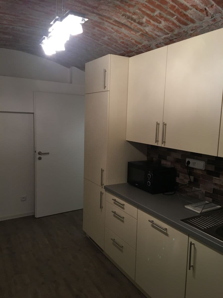 1 bedroom with open-plan kitchen flat to rent, 32 m², Heydukova, Prague, Prague 1 bedroom with open-plan kitchen flat to rent, 32 m², Heydukova, Prague, Prague