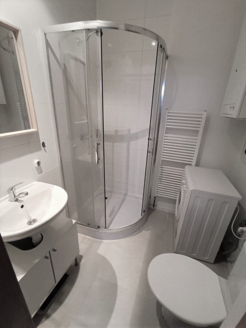 1 bedroom with open-plan kitchen flat to rent, 47 m², V Rovinách, Prague, Prague 1 bedroom with open-plan kitchen flat to rent, 47 m², V Rovinách, Prague, Prague