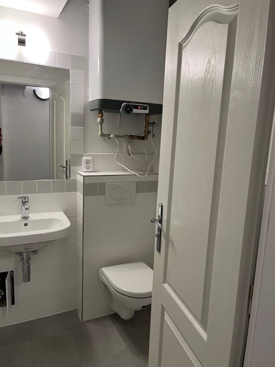 1 bedroom with open-plan kitchen flat to rent, 50 m², Čechova, Prague, Prague 1 bedroom with open-plan kitchen flat to rent, 50 m², Čechova, Prague, Prague