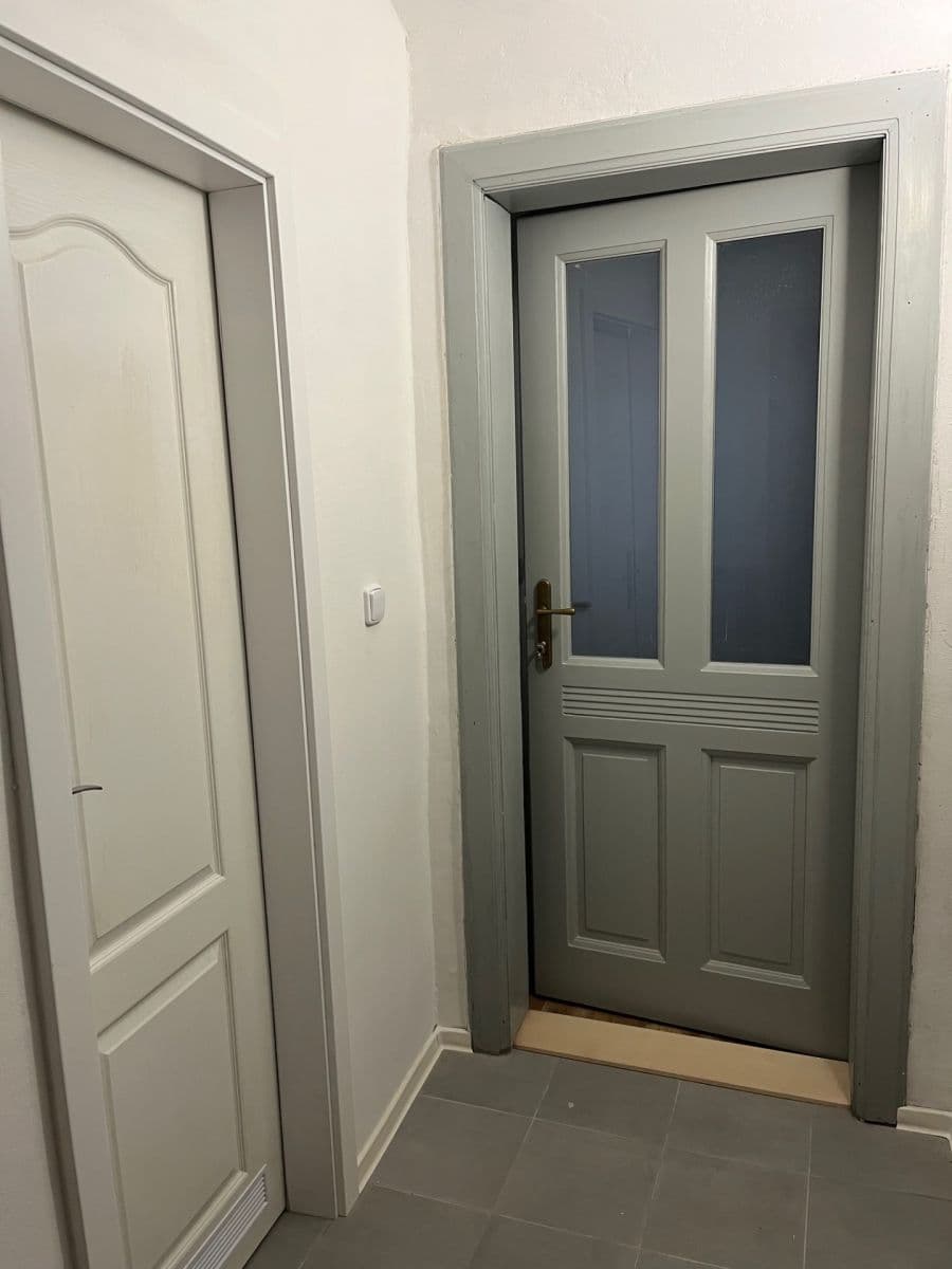 1 bedroom with open-plan kitchen flat to rent, 50 m², Čechova, Prague, Prague 1 bedroom with open-plan kitchen flat to rent, 50 m², Čechova, Prague, Prague