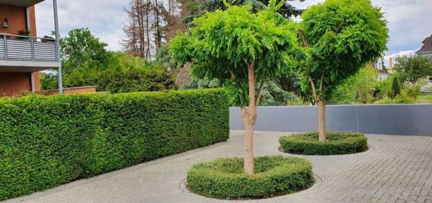 2 bedroom with open-plan kitchen flat to rent, 103 m², Güldenkamp 64, Braunschweig, Lower Saxony 2 bedroom with open-plan kitchen flat to rent, 103 m², Güldenkamp 64, Braunschweig, Lower Saxony