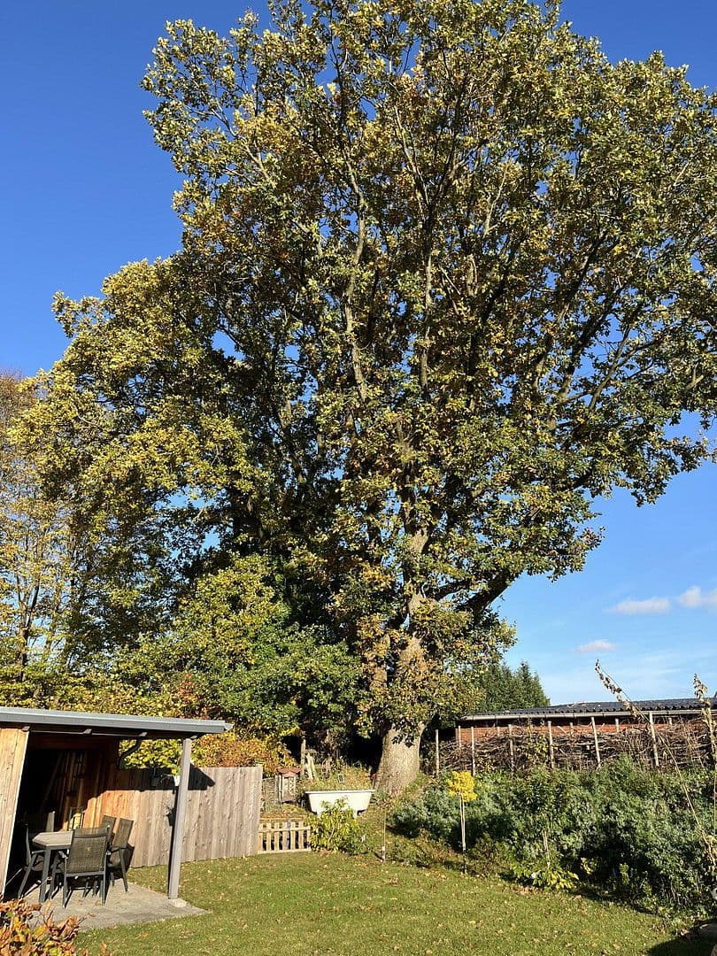 house for sale, 146 m², Tellingstedt, Schleswig-Holstein house for sale, 146 m², Tellingstedt, Schleswig-Holstein