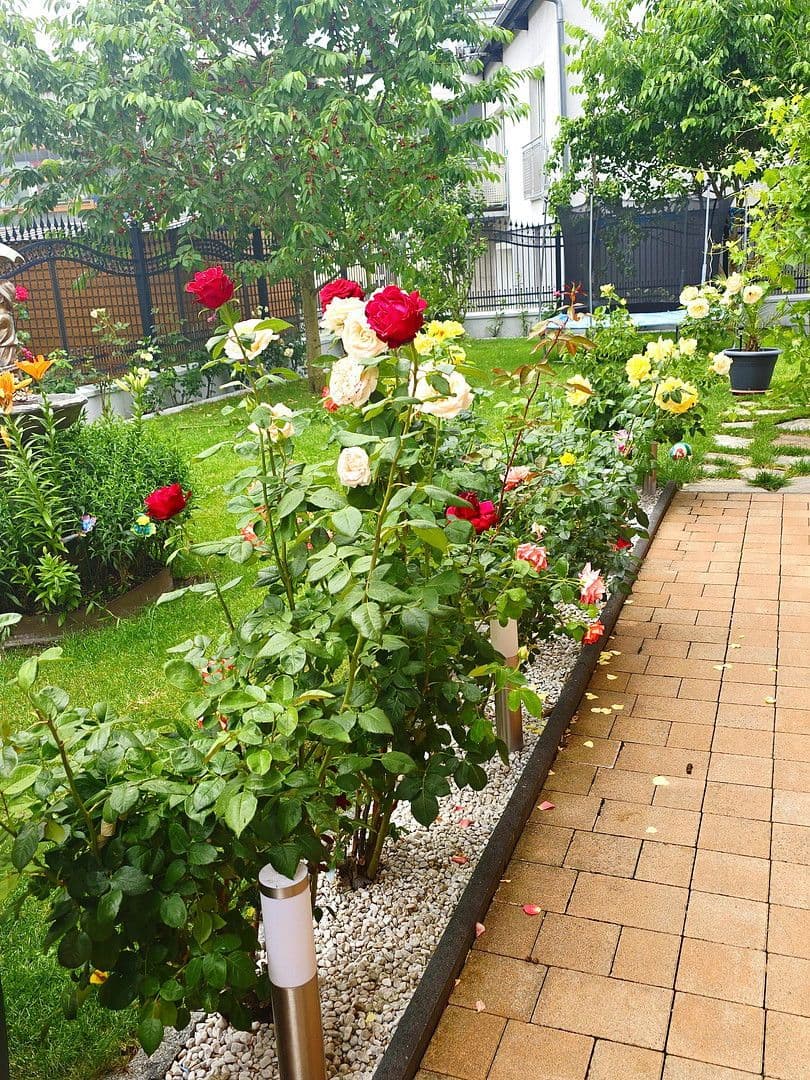 house for sale, 150 m², Hadersdorferweg 3, Altheim, Upper Austria house for sale, 150 m², Hadersdorferweg 3, Altheim, Upper Austria