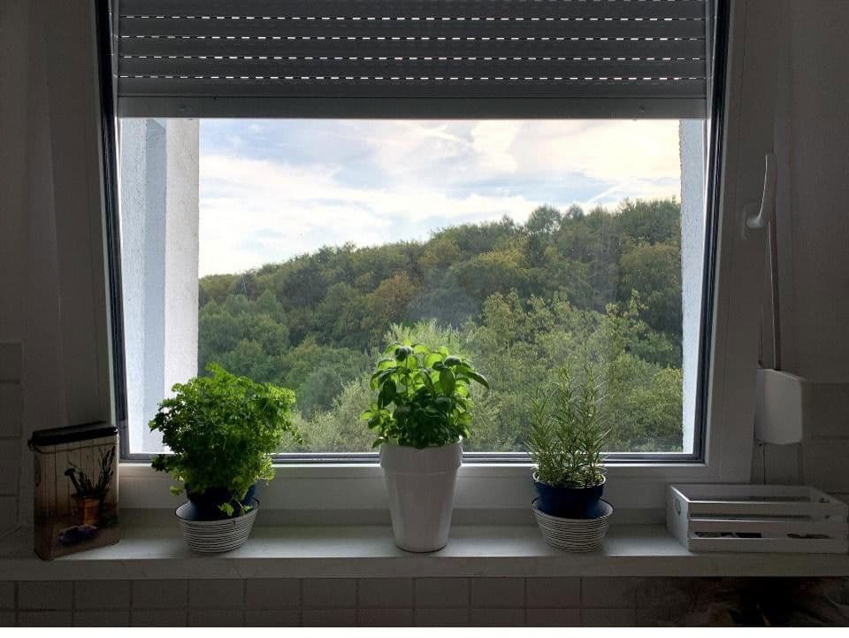 2 bedroom with open-plan kitchen flat to rent, 91 m², Eppstein, Hesse 2 bedroom with open-plan kitchen flat to rent, 91 m², Eppstein, Hesse