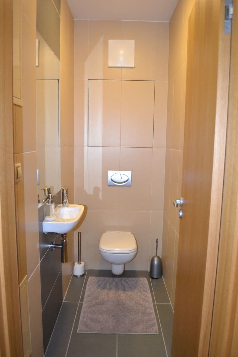 1 bedroom with open-plan kitchen flat to rent, 55 m², Křižíkova, Prague, Prague 1 bedroom with open-plan kitchen flat to rent, 55 m², Křižíkova, Prague, Prague