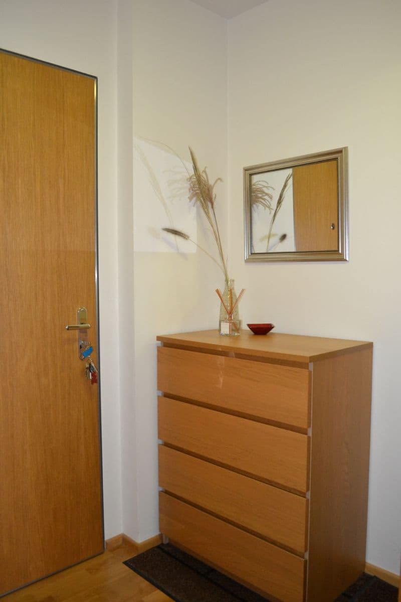 1 bedroom with open-plan kitchen flat to rent, 55 m², Křižíkova, Prague, Prague 1 bedroom with open-plan kitchen flat to rent, 55 m², Křižíkova, Prague, Prague