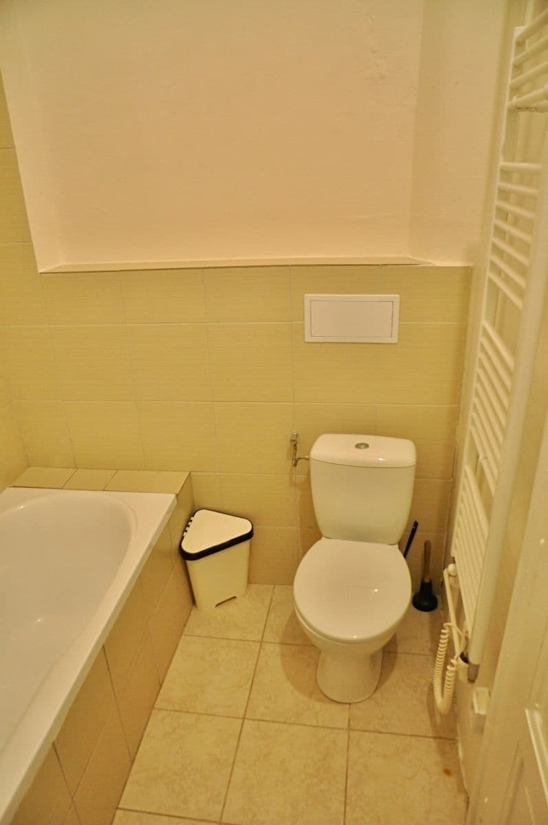 1 bedroom with open-plan kitchen flat to rent, 60 m², Hartigova, Prague, Prague 1 bedroom with open-plan kitchen flat to rent, 60 m², Hartigova, Prague, Prague