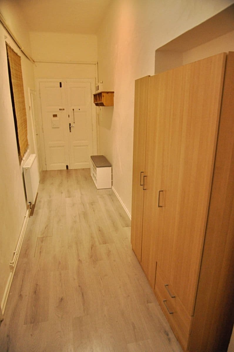 1 bedroom with open-plan kitchen flat to rent, 60 m², Hartigova, Prague, Prague 1 bedroom with open-plan kitchen flat to rent, 60 m², Hartigova, Prague, Prague