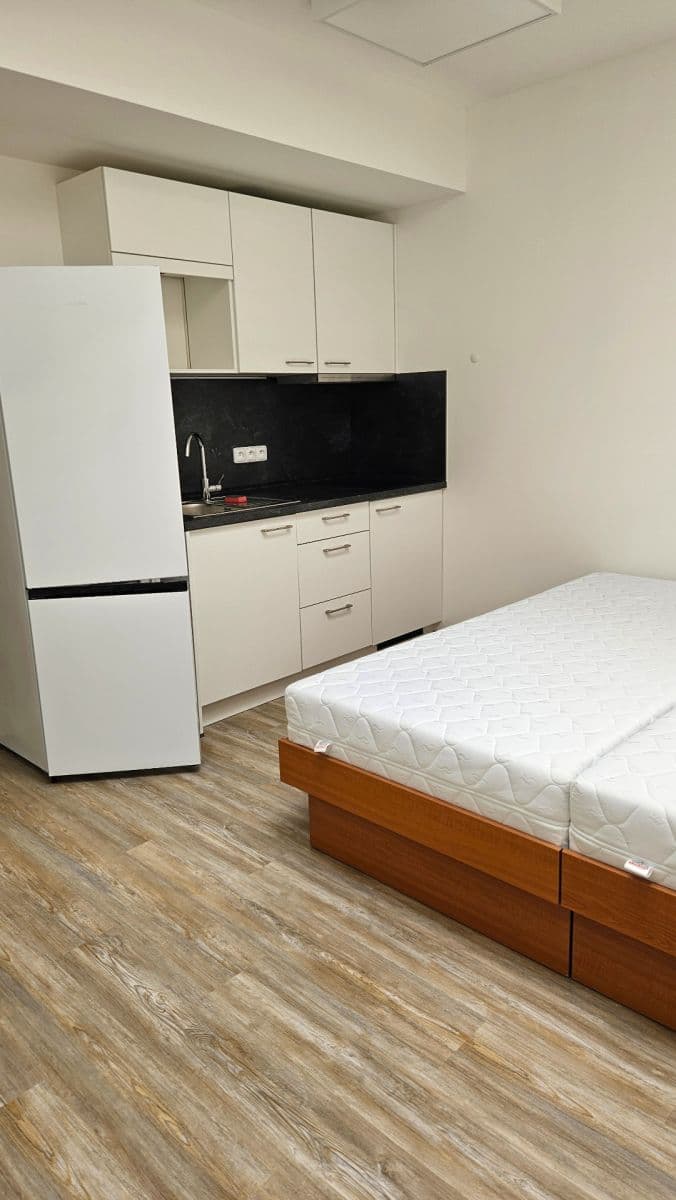 Studio flat to rent, 23 m², Sinkulova, Prague, Prague Studio flat to rent, 23 m², Sinkulova, Prague, Prague