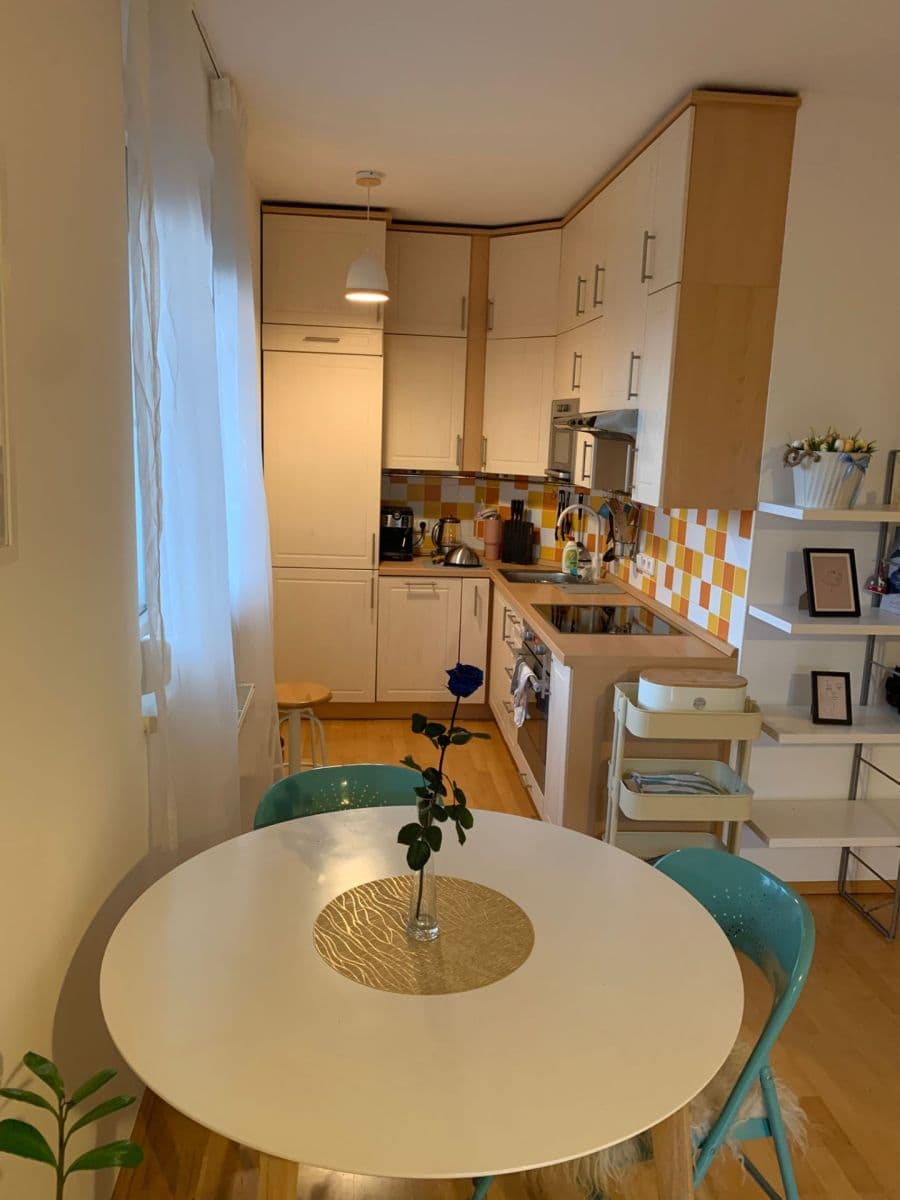 1 bedroom with open-plan kitchen flat to rent, 55 m², Marie Podvalové, Prague, Prague 1 bedroom with open-plan kitchen flat to rent, 55 m², Marie Podvalové, Prague, Prague