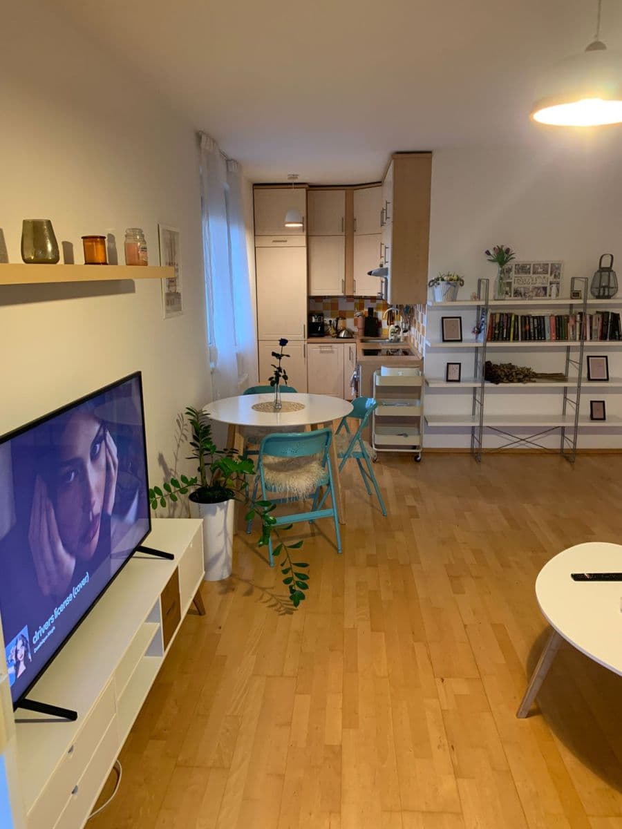 1 bedroom with open-plan kitchen flat to rent, 55 m², Marie Podvalové, Prague, Prague 1 bedroom with open-plan kitchen flat to rent, 55 m², Marie Podvalové, Prague, Prague