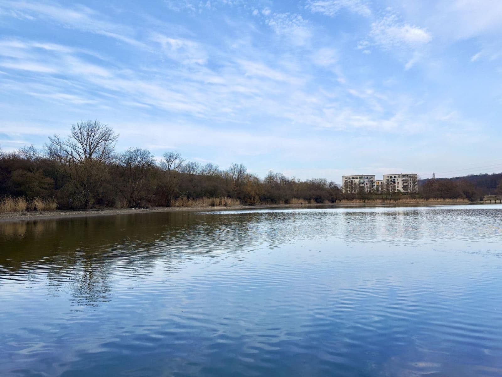 Studio flat to rent, 30 m², Poděbradská, Prague, Prague Studio flat to rent, 30 m², Poděbradská, Prague, Prague