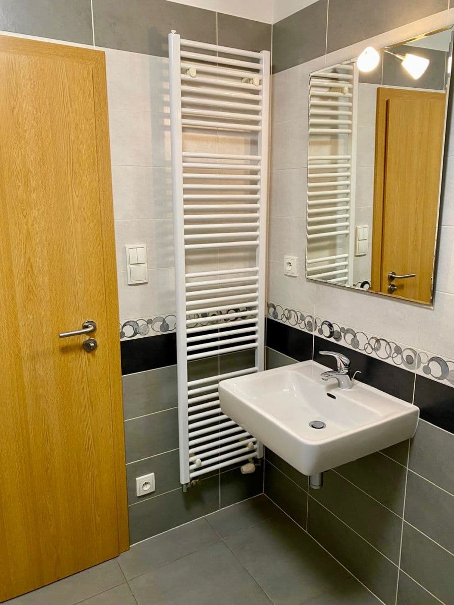 1 bedroom with open-plan kitchen flat to rent, 58 m², Břeclavská, Prague, Prague 1 bedroom with open-plan kitchen flat to rent, 58 m², Břeclavská, Prague, Prague