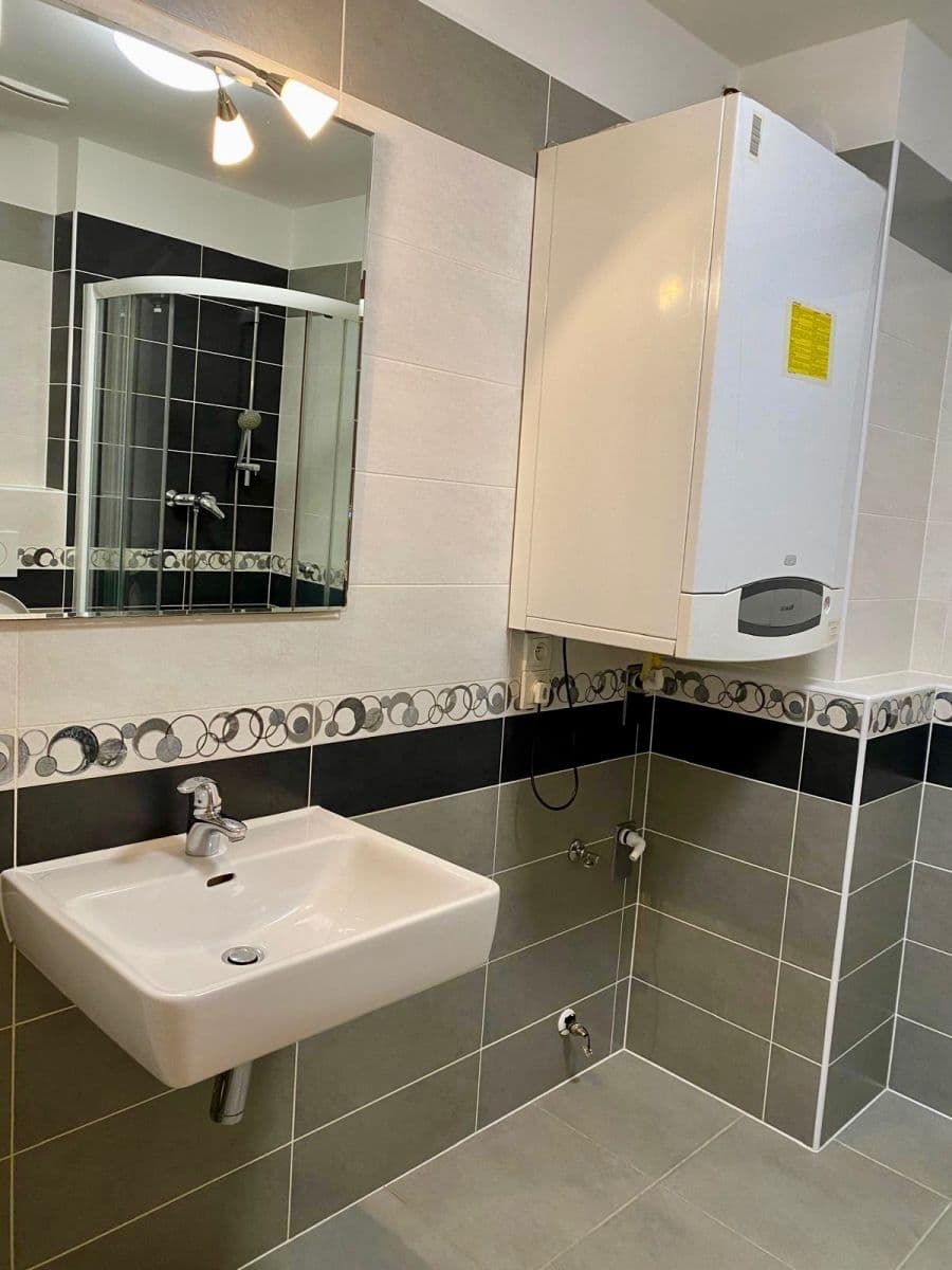 1 bedroom with open-plan kitchen flat to rent, 58 m², Břeclavská, Prague, Prague 1 bedroom with open-plan kitchen flat to rent, 58 m², Břeclavská, Prague, Prague