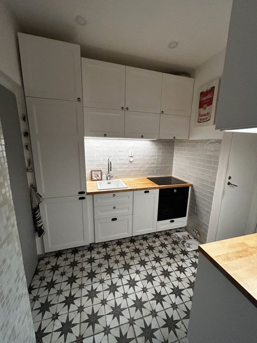 1 bedroom with open-plan kitchen flat to rent, 48 m², Tolstého, Prague, Prague 1 bedroom with open-plan kitchen flat to rent, 48 m², Tolstého, Prague, Prague