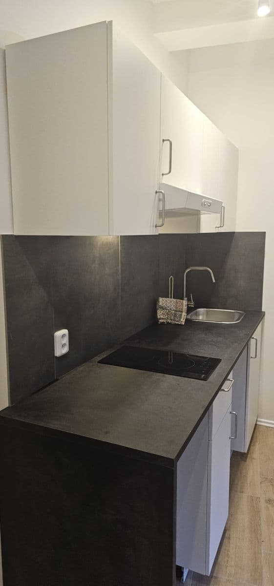 Studio flat to rent, 26 m², Na Cikánce, Prague, Prague Studio flat to rent, 26 m², Na Cikánce, Prague, Prague