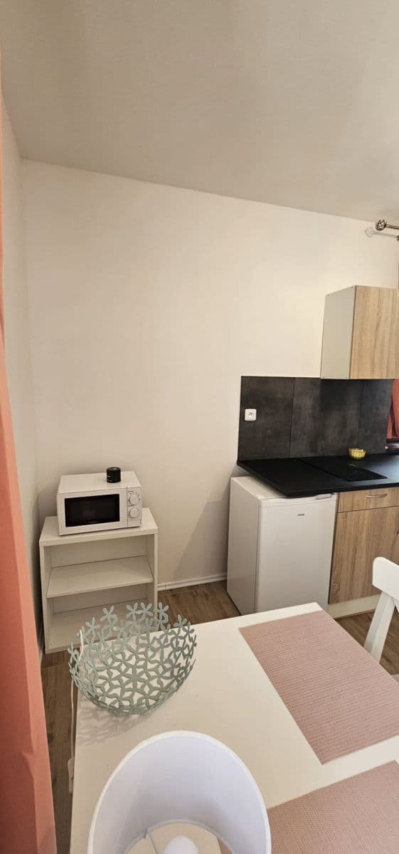 Studio flat to rent, 28 m², Na Cikánce, Prague, Prague Studio flat to rent, 28 m², Na Cikánce, Prague, Prague
