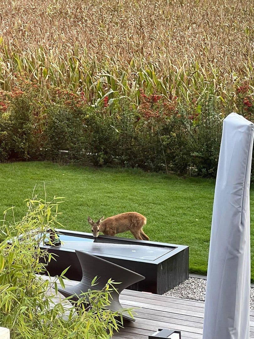 house for sale, 226 m², Bilshausen, Lower Saxony house for sale, 226 m², Bilshausen, Lower Saxony