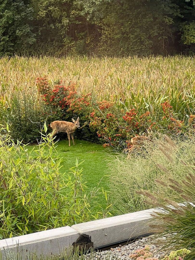 house for sale, 226 m², Bilshausen, Lower Saxony house for sale, 226 m², Bilshausen, Lower Saxony