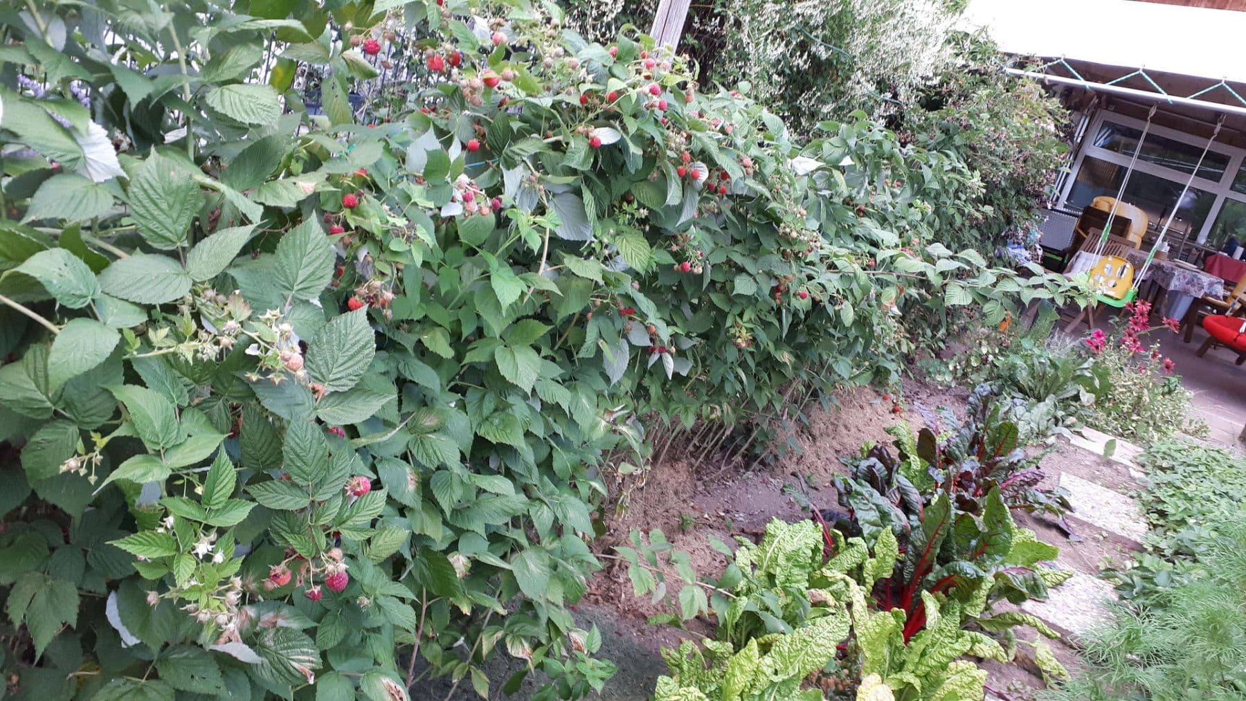 house for sale, 200 m², Hornberg, Baden-Württemberg house for sale, 200 m², Hornberg, Baden-Württemberg