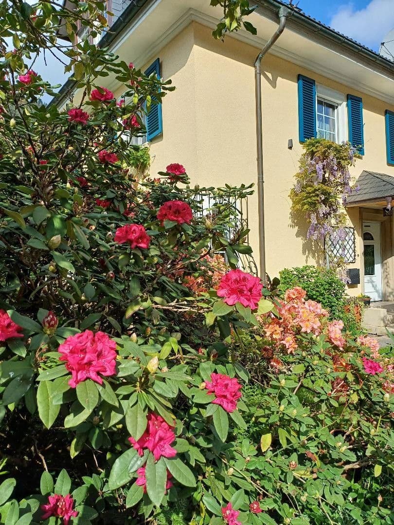 house for sale, 200 m², Hornberg, Baden-Württemberg house for sale, 200 m², Hornberg, Baden-Württemberg