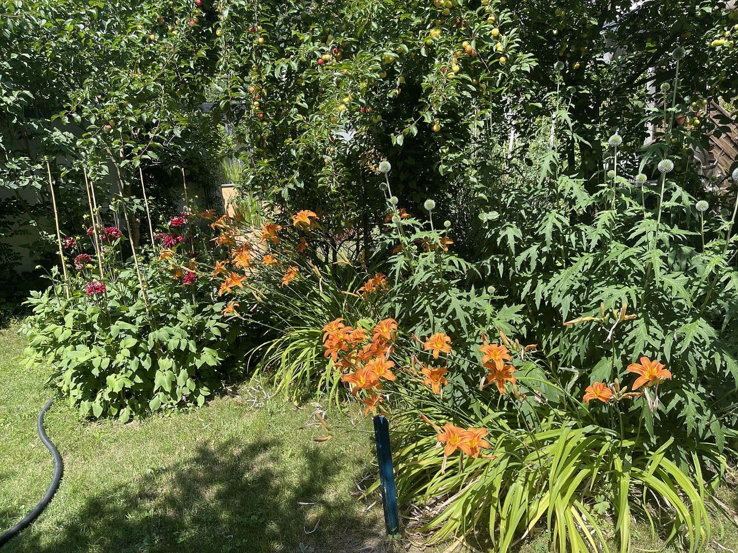 house for sale, 200 m², Hornberg, Baden-Württemberg house for sale, 200 m², Hornberg, Baden-Württemberg