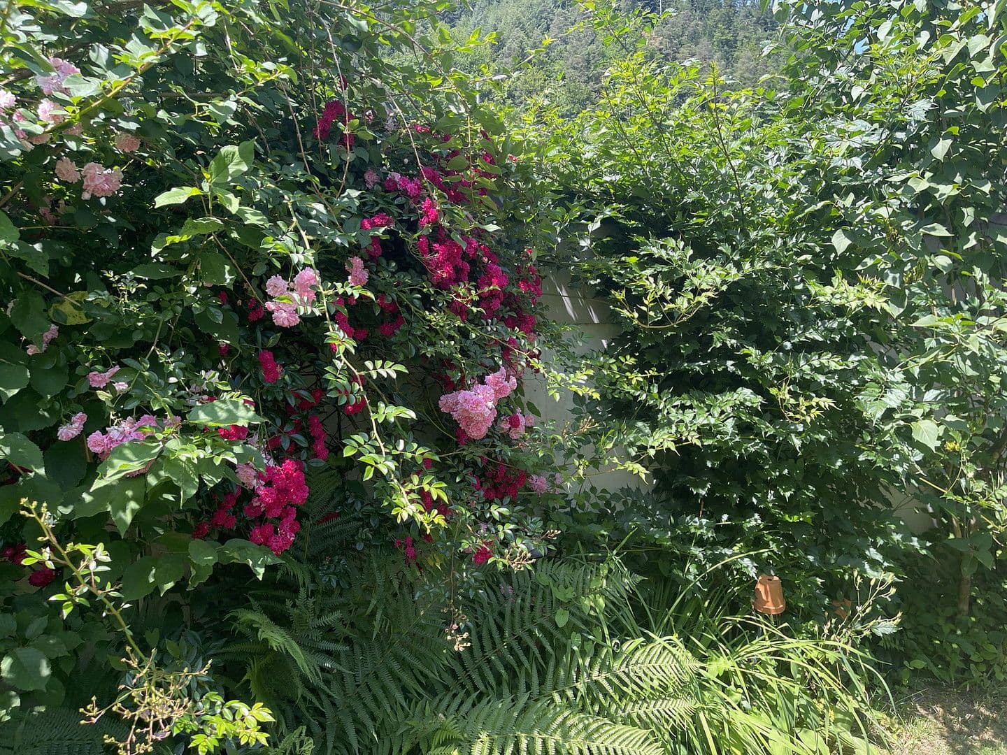 house for sale, 200 m², Hornberg, Baden-Württemberg house for sale, 200 m², Hornberg, Baden-Württemberg