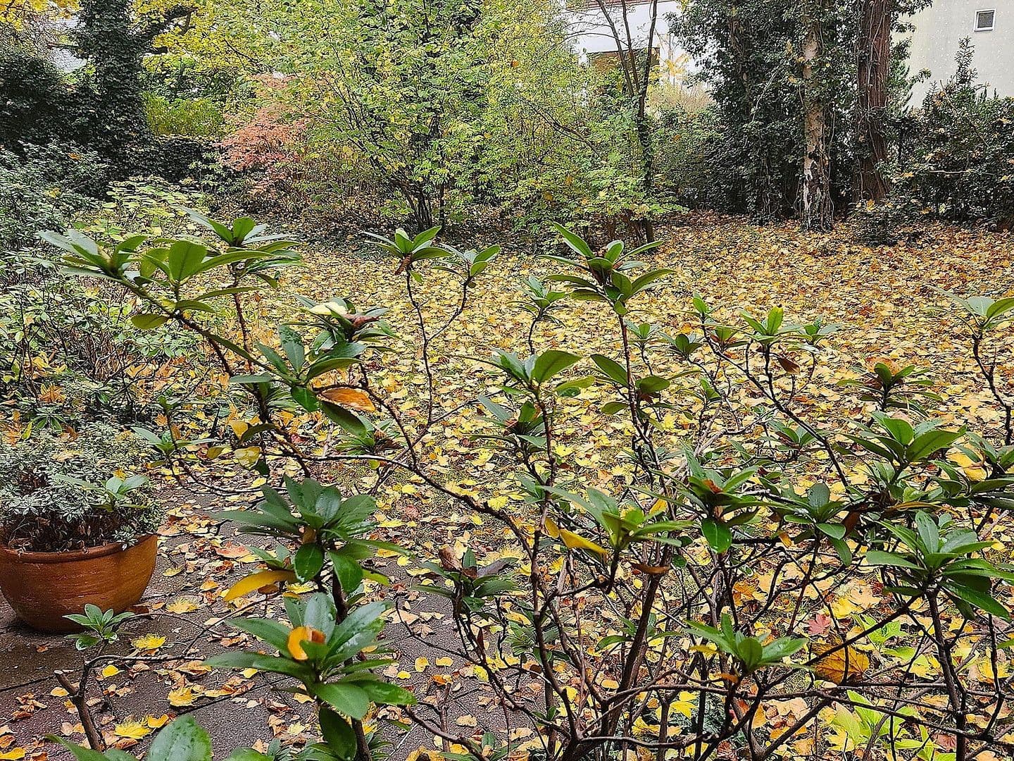 1 bedroom flat for sale, 44 m², Berlin, Berlin 1 bedroom flat for sale, 44 m², Berlin, Berlin