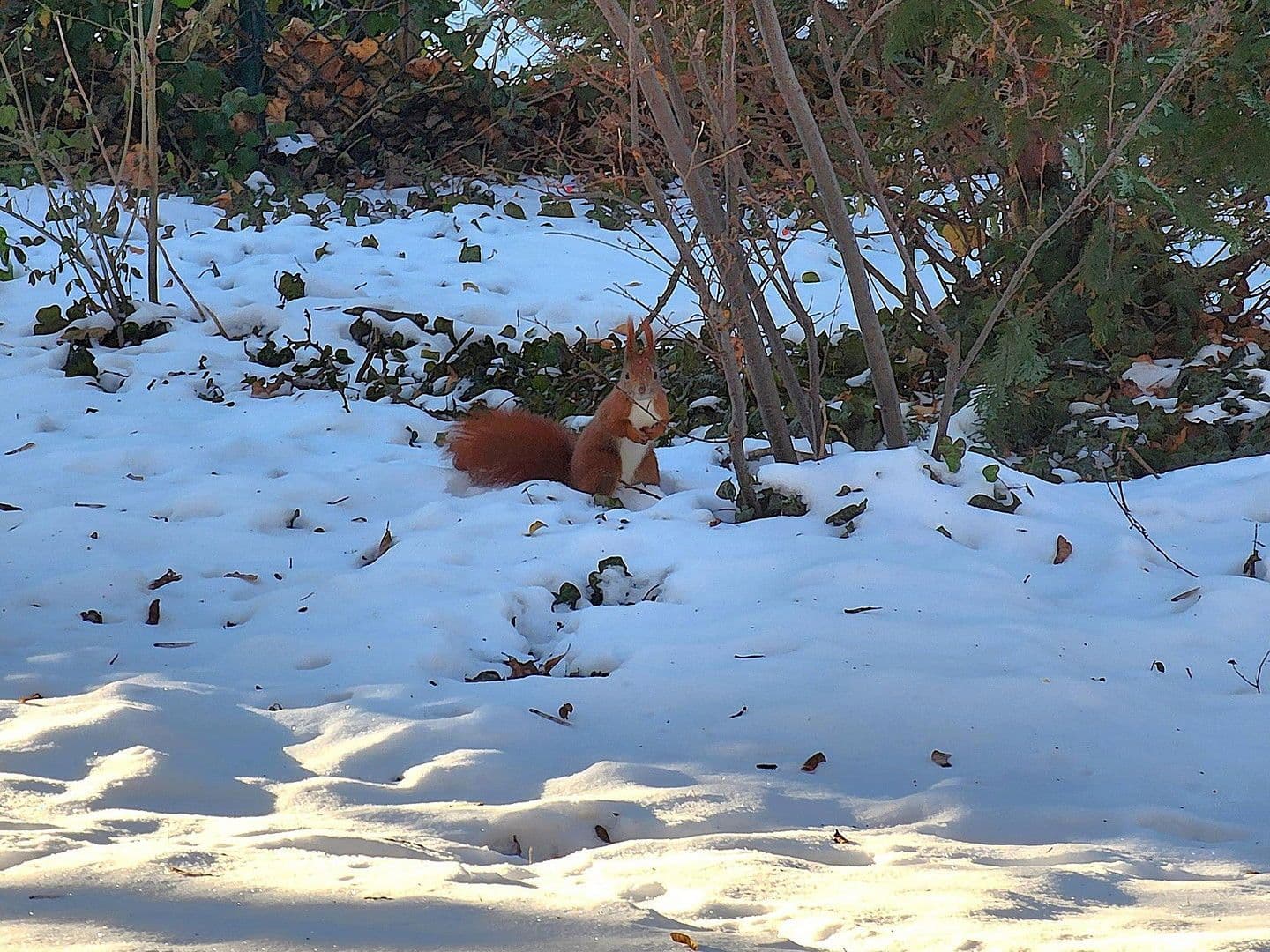 1 bedroom flat for sale, 44 m², Berlin, Berlin 1 bedroom flat for sale, 44 m², Berlin, Berlin