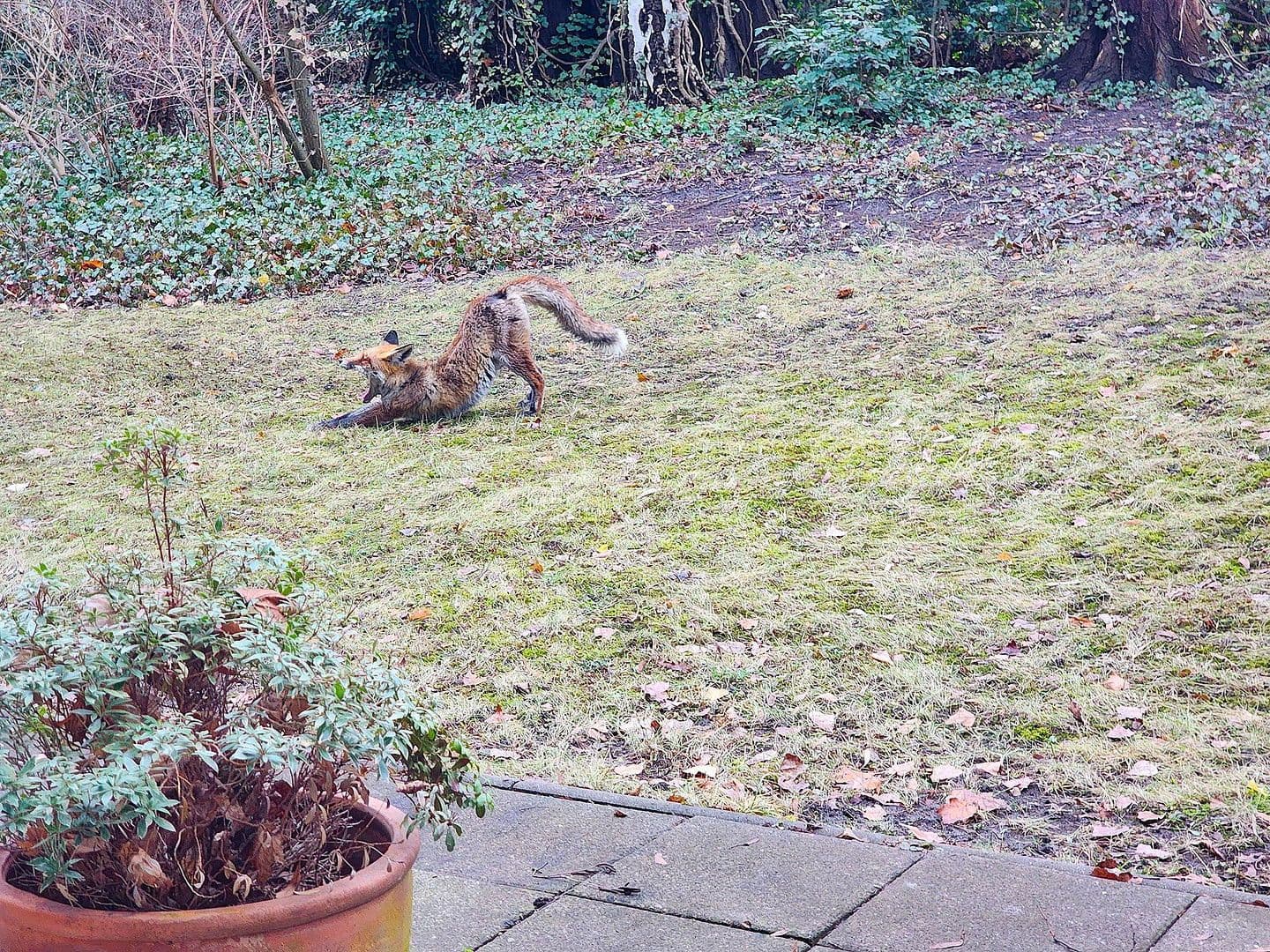 1 bedroom flat for sale, 44 m², Berlin, Berlin 1 bedroom flat for sale, 44 m², Berlin, Berlin