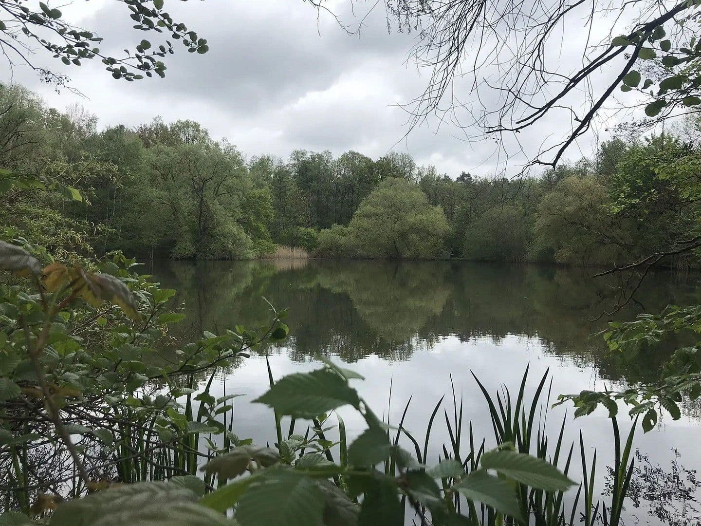 2 bedroom flat to rent, 60 m², Braunschweig, Lower Saxony 2 bedroom flat to rent, 60 m², Braunschweig, Lower Saxony