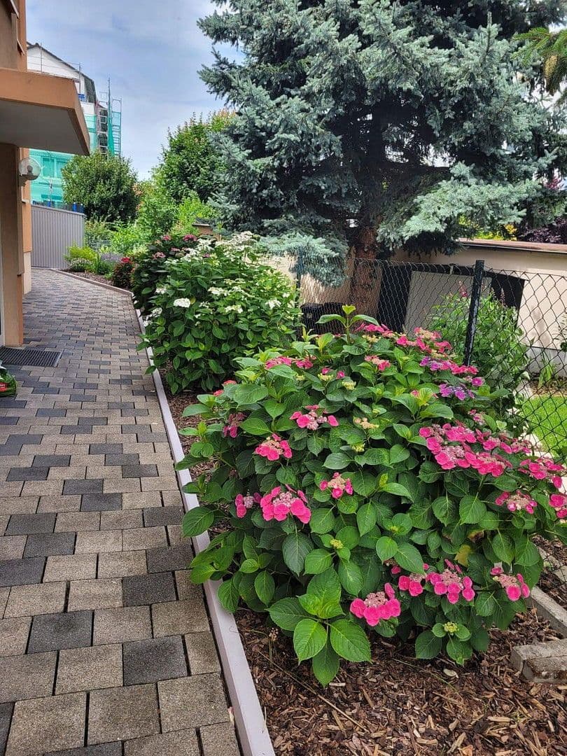 4 bedroom flat for sale, 125 m², Oftersheim, Baden-Württemberg 4 bedroom flat for sale, 125 m², Oftersheim, Baden-Württemberg