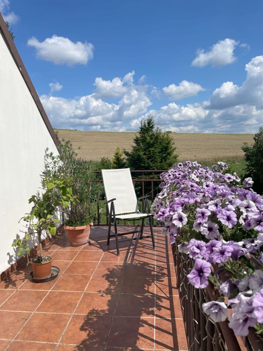 4 bedroom with open-plan kitchen flat to rent, 120 m², Neveklov, Středočeský Region 4 bedroom with open-plan kitchen flat to rent, 120 m², Neveklov, Středočeský Region