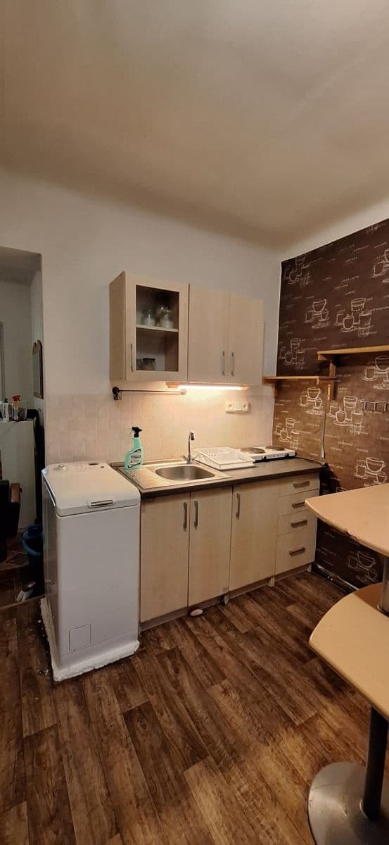 1 bedroom with open-plan kitchen flat to rent, 48 m², Klapkova, Prague, Prague 1 bedroom with open-plan kitchen flat to rent, 48 m², Klapkova, Prague, Prague