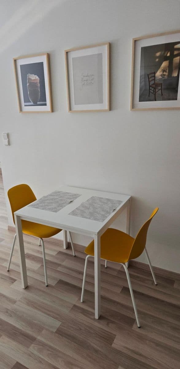 1 bedroom with open-plan kitchen flat to rent, 43 m², Honzíkova, Prague, Prague 1 bedroom with open-plan kitchen flat to rent, 43 m², Honzíkova, Prague, Prague