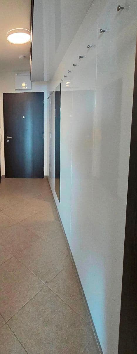 1 bedroom with open-plan kitchen flat to rent, 43 m², Honzíkova, Prague, Prague 1 bedroom with open-plan kitchen flat to rent, 43 m², Honzíkova, Prague, Prague