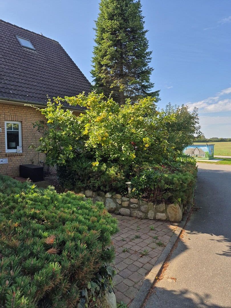 house for sale, 181 m², Schmiedestr.1, Twedt, Schleswig-Holstein house for sale, 181 m², Schmiedestr.1, Twedt, Schleswig-Holstein