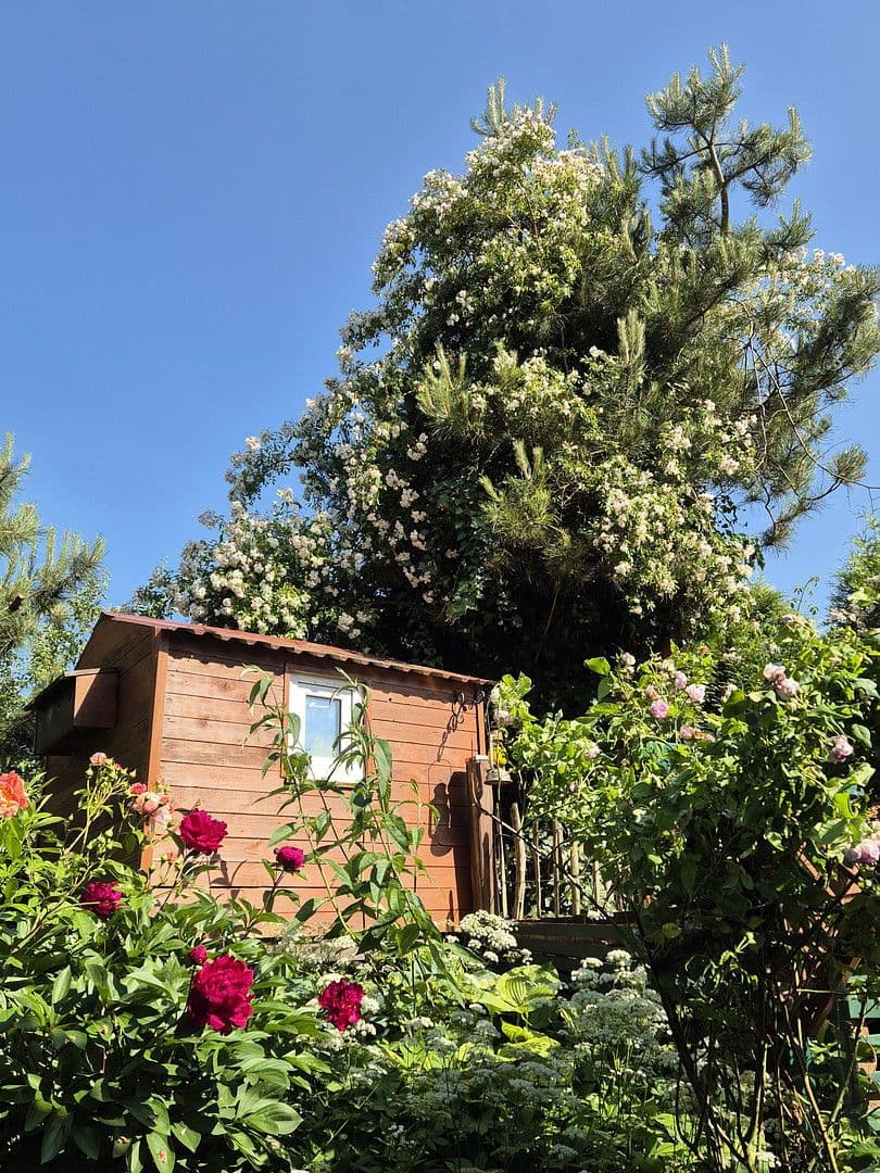 house for sale, 181 m², Schmiedestr.1, Twedt, Schleswig-Holstein house for sale, 181 m², Schmiedestr.1, Twedt, Schleswig-Holstein