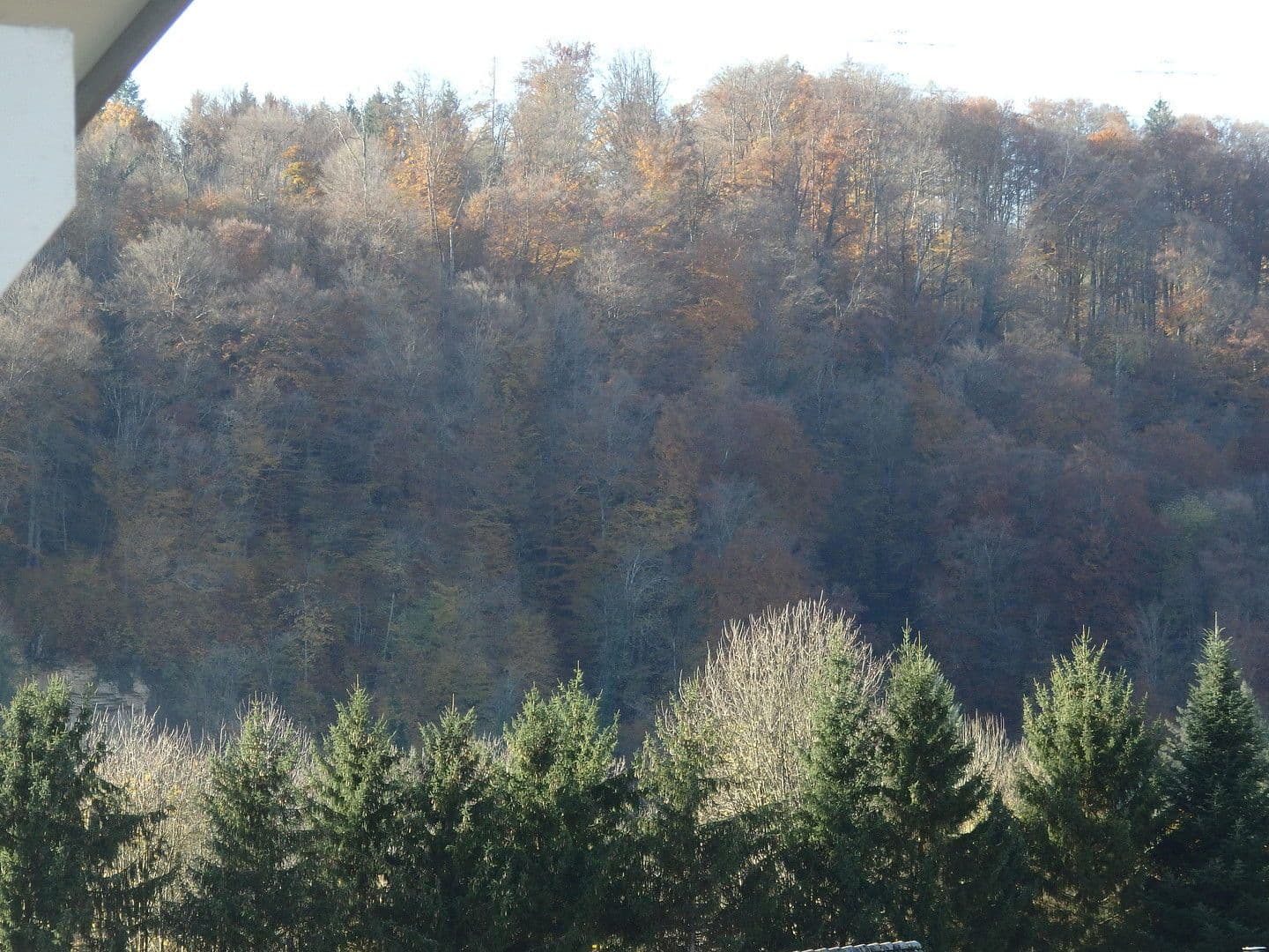 3 bedroom with open-plan kitchen flat to rent, 120 m², Wehr, Baden-Württemberg 3 bedroom with open-plan kitchen flat to rent, 120 m², Wehr, Baden-Württemberg