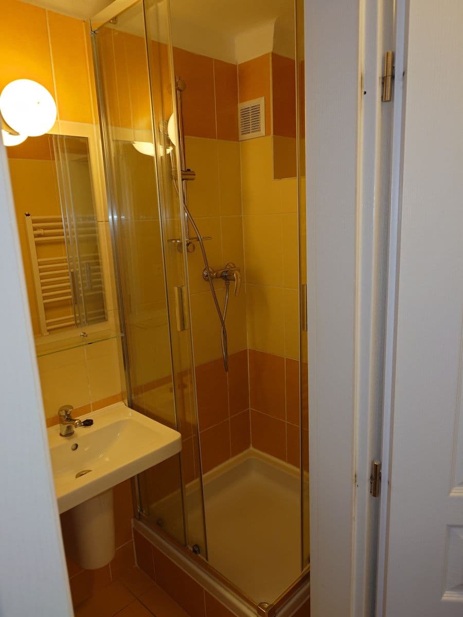 1 bedroom with open-plan kitchen flat to rent, 50 m², Franty Kocourka, Prague, Prague 1 bedroom with open-plan kitchen flat to rent, 50 m², Franty Kocourka, Prague, Prague