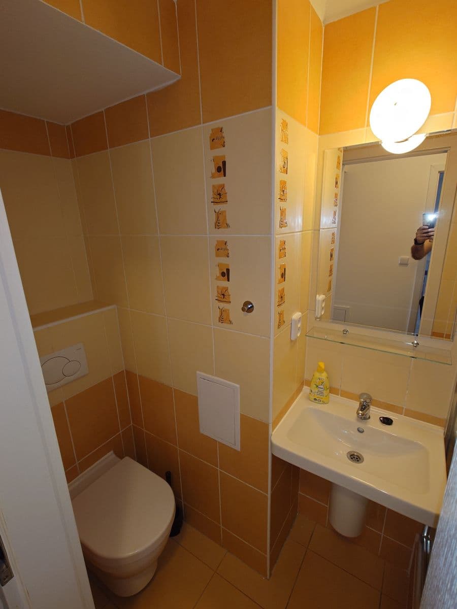 1 bedroom with open-plan kitchen flat to rent, 50 m², Franty Kocourka, Prague, Prague 1 bedroom with open-plan kitchen flat to rent, 50 m², Franty Kocourka, Prague, Prague