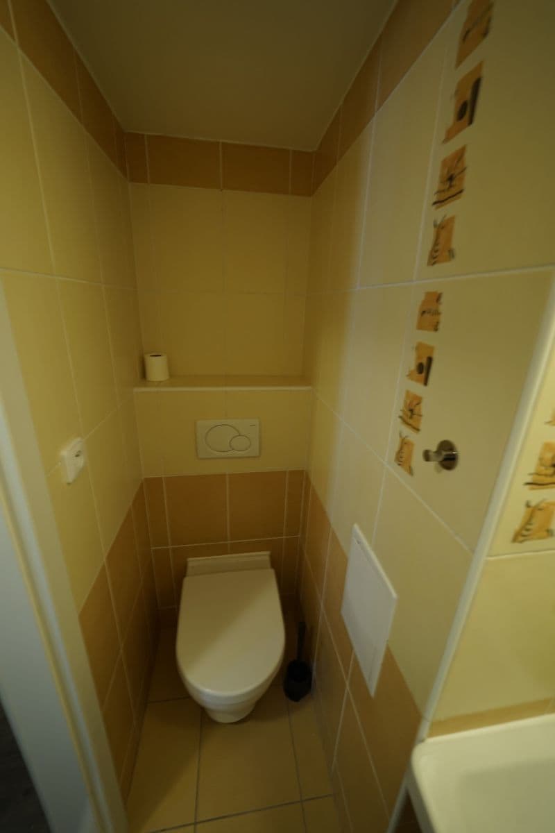 1 bedroom with open-plan kitchen flat to rent, 50 m², Franty Kocourka, Prague, Prague 1 bedroom with open-plan kitchen flat to rent, 50 m², Franty Kocourka, Prague, Prague