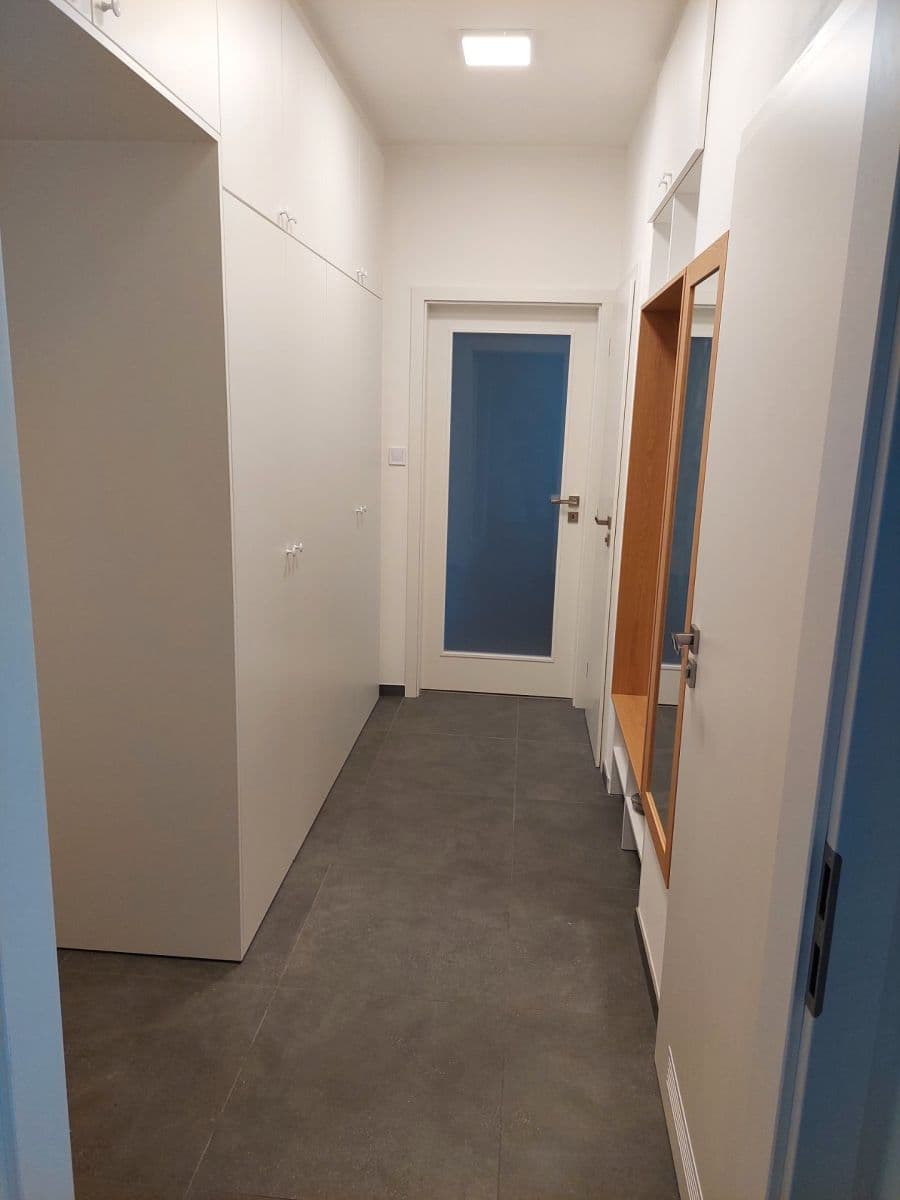 1 bedroom with open-plan kitchen flat to rent, 55 m², Antala Staška, Prague, Prague 1 bedroom with open-plan kitchen flat to rent, 55 m², Antala Staška, Prague, Prague