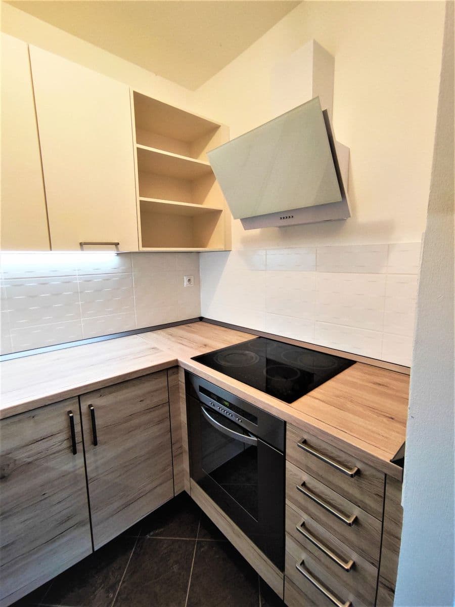 1 bedroom with open-plan kitchen flat to rent, 50 m², V Pohodě, Hovorčovice, Středočeský Region 1 bedroom with open-plan kitchen flat to rent, 50 m², V Pohodě, Hovorčovice, Středočeský Region